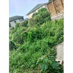 緑区にて草刈り作業の画像3