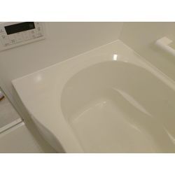 お盆休みのお知らせ（8月11日〜8月16日）の画像1