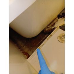 金町・松戸・柏1K賃貸・浴室チョウバエ発生案件の画像1