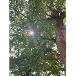 ADHDの方に向くお片付けのやり方とは？の画像2