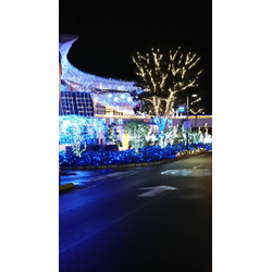 リピートありがとうございます！の画像1