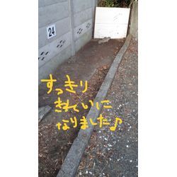 除草剤を撒かれた駐車場の草刈りでした。の画像2