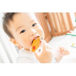 1歳記念フォト in 兵庫の画像3