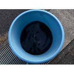 夏に向けての画像3