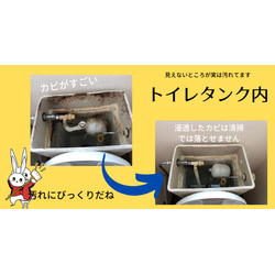 見えない場所こそ要注意！トイレタンクの中も実はこんなに…(・o・)の画像1