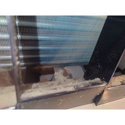 子供達も大喜びの画像2