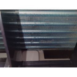 子供達も大喜びの画像3