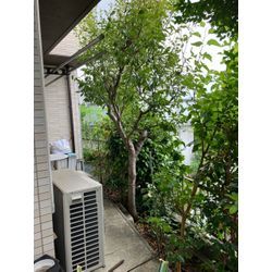 本日はお見積もりDay!?の画像1