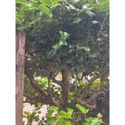 本日はお見積もりDay!?の画像3