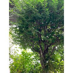 本日はお見積もりDay!?の画像2