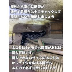 ネズミ駆除　福岡県の画像1