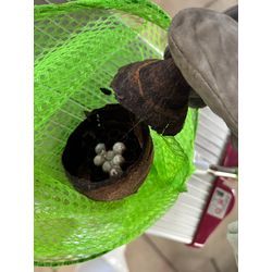 福島県国見町役場からのご依頼でした！の画像2