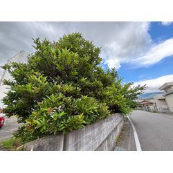 福島県国見町役場からのご依頼でした！の画像3