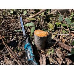 【川崎市】ご依頼者様所有地の除草作業　2025年10月8日の画像2