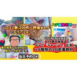 ◤🐝㊗️ハチ駆除◤口コミ数２００件✨◢エリア1位🎉仙台蜂駆除・ハチ駆除宮城・山形蜂駆除・ハチ山形の画像1