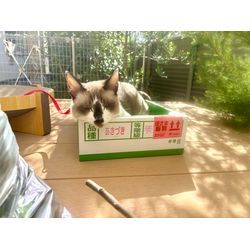 ☆開業300日目☆の画像3