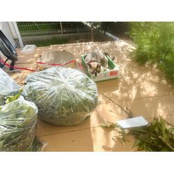 ☆開業300日目☆の画像2