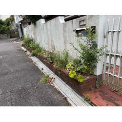 草むしりのご依頼　リピーターのお客様よりの画像1