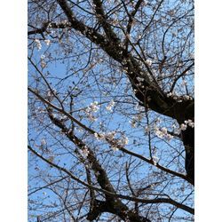 介護疲れに効く美容法の画像1