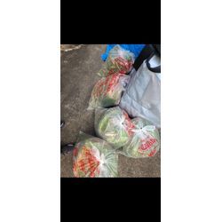 草むしりの画像3