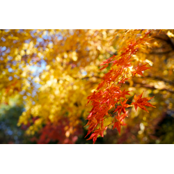 秋のお片付け応援キャンペーン実施中♪の画像1