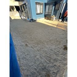 人工芝💪🐶の画像1