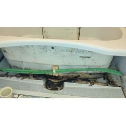 カビとアレルギーの画像1