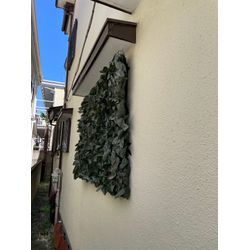 窓ガラス　プライバシー用　グリーンネット張りの画像3