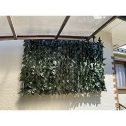 窓ガラス　プライバシー用　グリーンネット張りの画像1