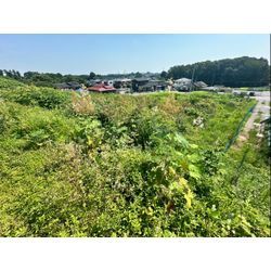 除草作業をさせて頂きました！の画像1