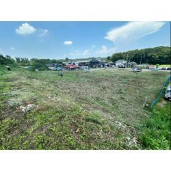 除草作業をさせて頂きました！の画像2