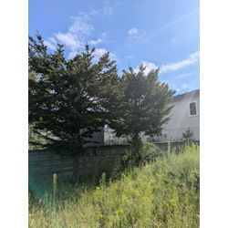 実家大事に❤️の画像1