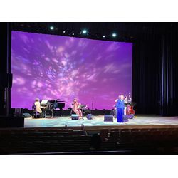 安奈淳さんのステージを撮影の画像1