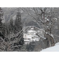 明けましおめでとうございます🙂‍↕️の画像1