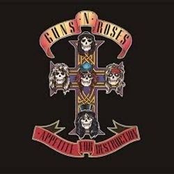 音楽との出会いと私のルーツの画像1