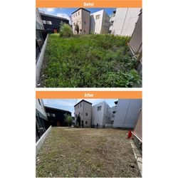 【台東区】空き地の除草作業の画像1