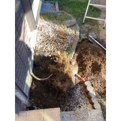 お庭が広々スッキリ！背の高い庭木の伐採で明るい動線に改善しましたの画像3