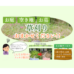 ＼伸びきる前にスッキリ解決🌱／の画像1