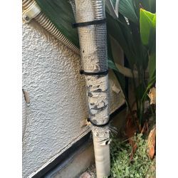 世田谷ネズミ駆除の画像1