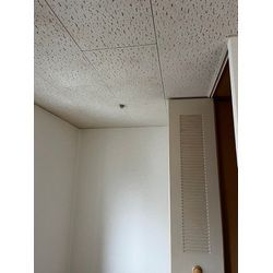 🏠 二宮町 アパート天井塗装｜リピーター様からのご依頼の画像1
