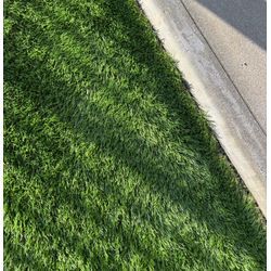 🌿人工芝で庭が変わる！お手入れラクラク＆一年中キレイにの画像1