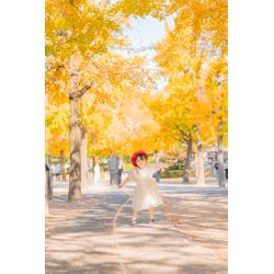 イチョウの黄色とこどもがとっても可愛い！の画像1