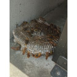 ご予約がお取りづらく誠に申し訳御座いません。の画像2