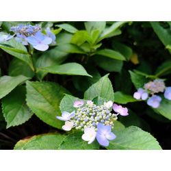 2025年も後半となりました！の画像1