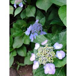 2025年も後半となりました！の画像2