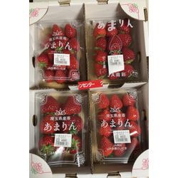 2026年　その名はあまりん！の画像1