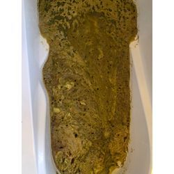 【風呂釜洗浄】お風呂からゴミが、、の画像1