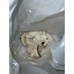 あきる野市　パナソニックドラム式洗濯機　U11エラー！の画像2