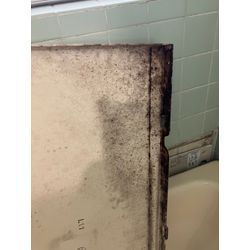 【エプロン内のカビ】の画像1