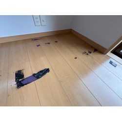 ★床の粘着物質除去★の画像1